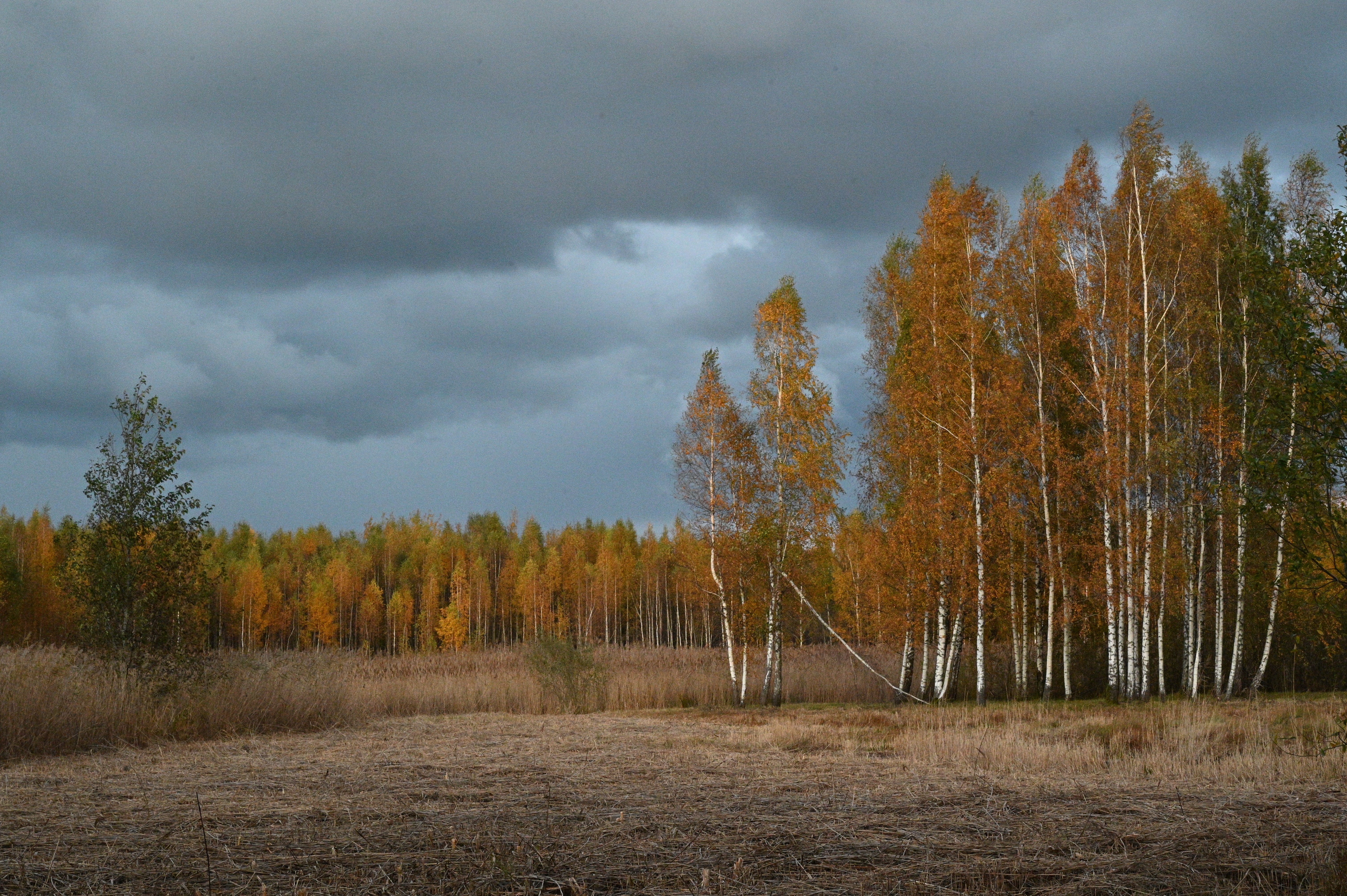 2025/10/18 - walk/DSC_0540.JPG